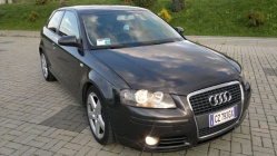 Zdjęcie Audi A3 1.9 TDI 105 KM S line