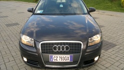 Zdjęcie Audi A3 1.9 TDI 105 KM S line