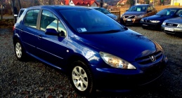 Zdjęcie Peugeot 307 1.6 i XR