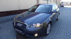 Zdjęcie Audi A3 2.0 TDI 170 KM Quattro