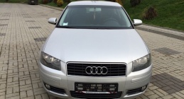 Zdjęcie Audi A3 1.9 TDI 105 KM